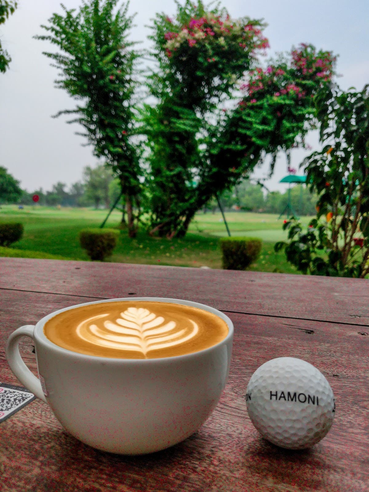 Hamoni: Cafe By The Greens photo 2