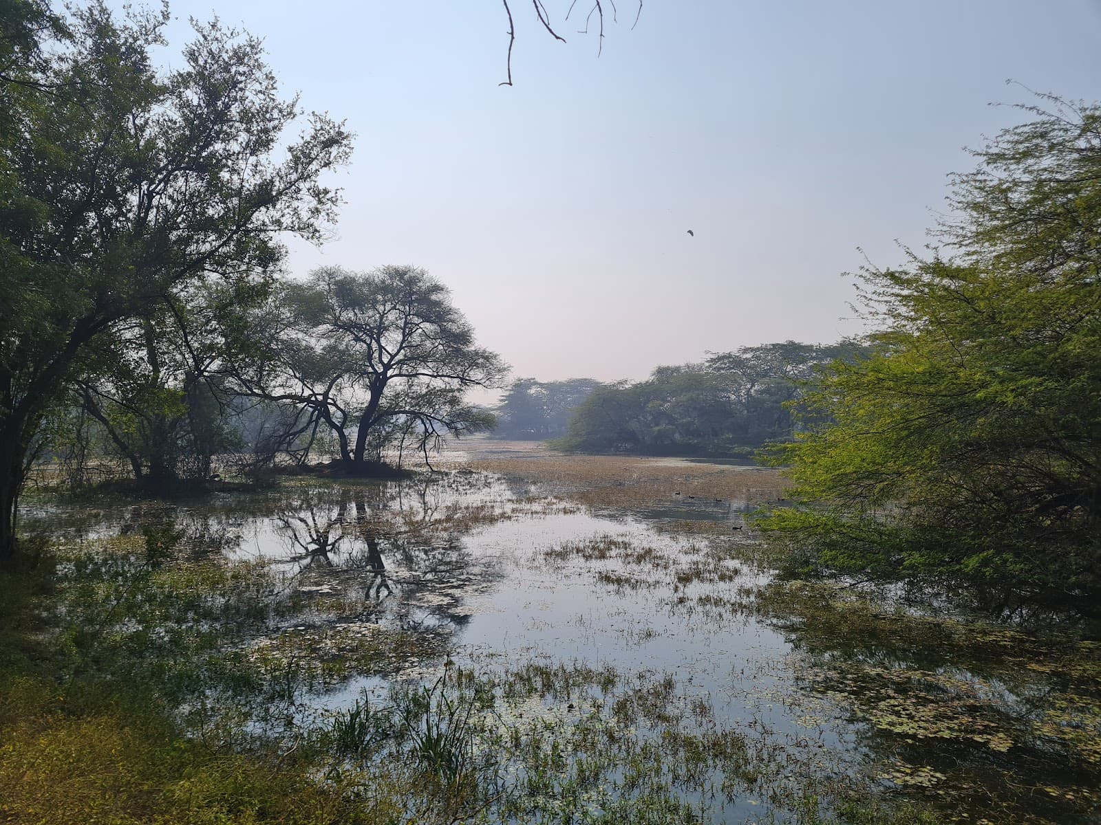Sultanpur Bird Sanctuary photo 2