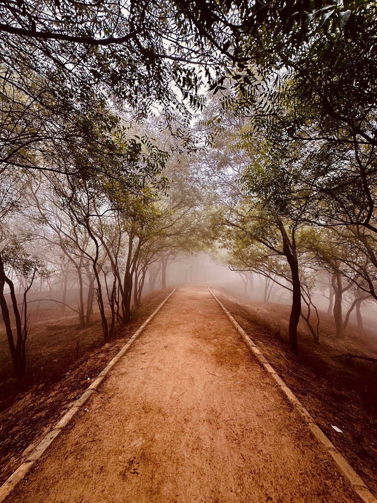 Sultanpur Bird Sanctuary photo 3